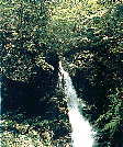 美しい麻耶の滝